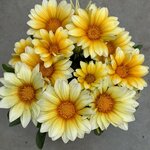 Sunny Side UP (не закрывается в тени) B11.13