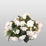 Mocca White B300.11 