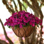 Violet shades P9.08 нет в наличии