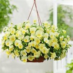 Lemon P13.05 нет в наличии
