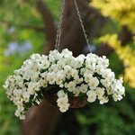 White P13.17 нет в наличии
